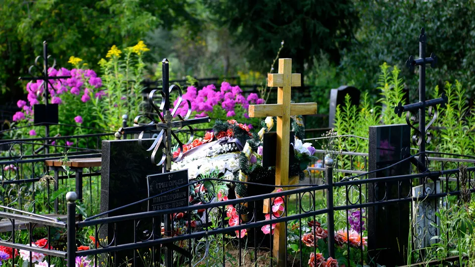 Фото: медиасток.рф