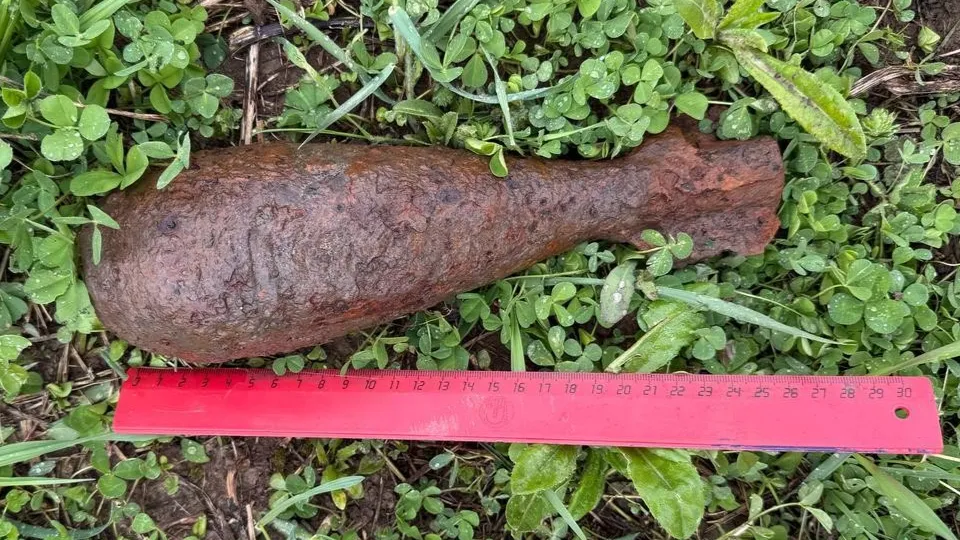 Фото: ГКУ МО «Мособлпожспас»