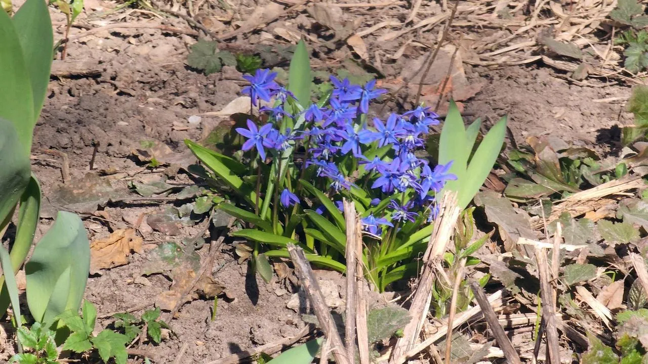 МедиаБанк Подмосковья/Валерия Исаева