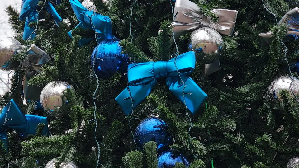 Фото: МедиаБанк Подмосковья/Валерия Тингаева