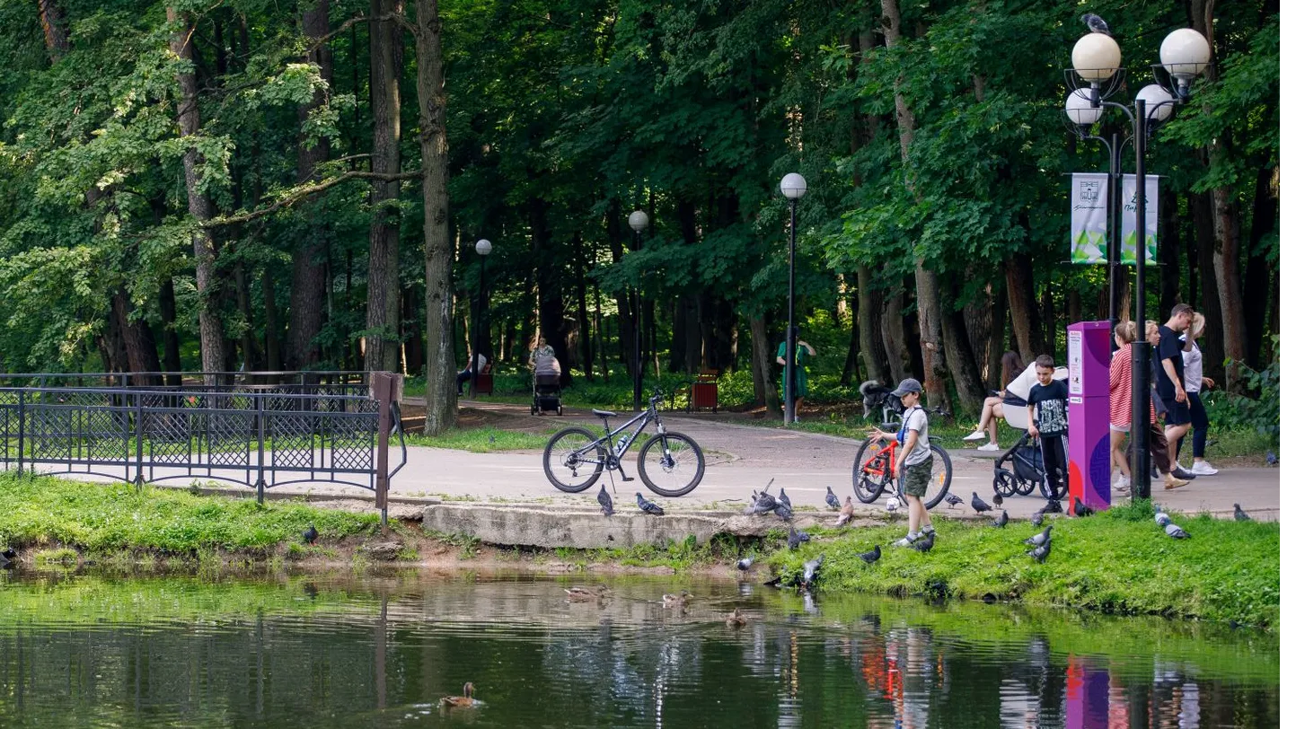 Городской парк/Источник: медиасток.рф
