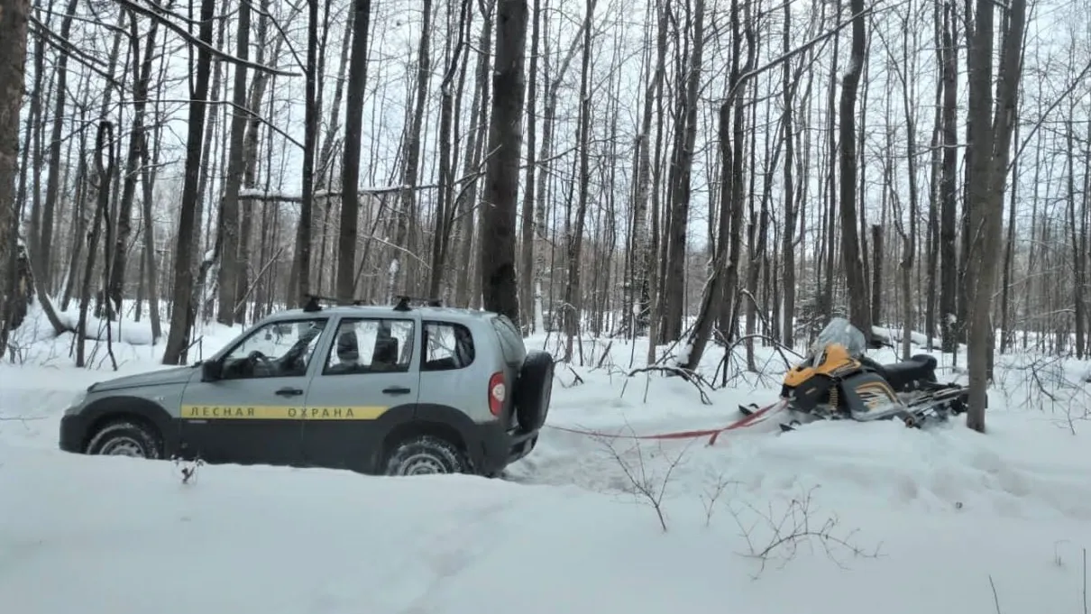 Пресс-служба Комитета лесного хозяйства Московской области