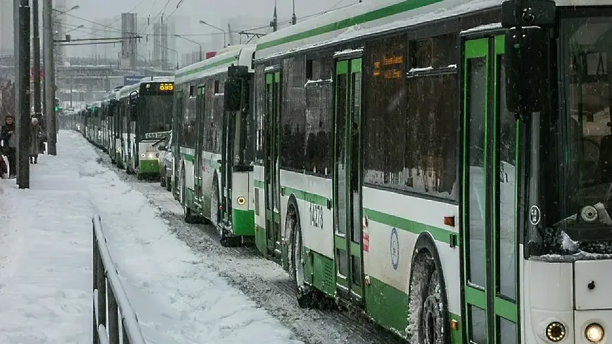 Фото: Отдел ГИБДД УМВД «Вконтакте»