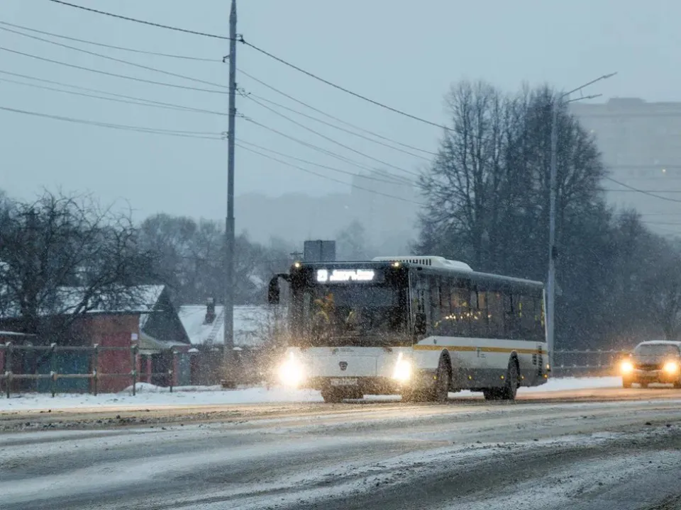Фото: пресс-служба губернатора и правительства Московской области