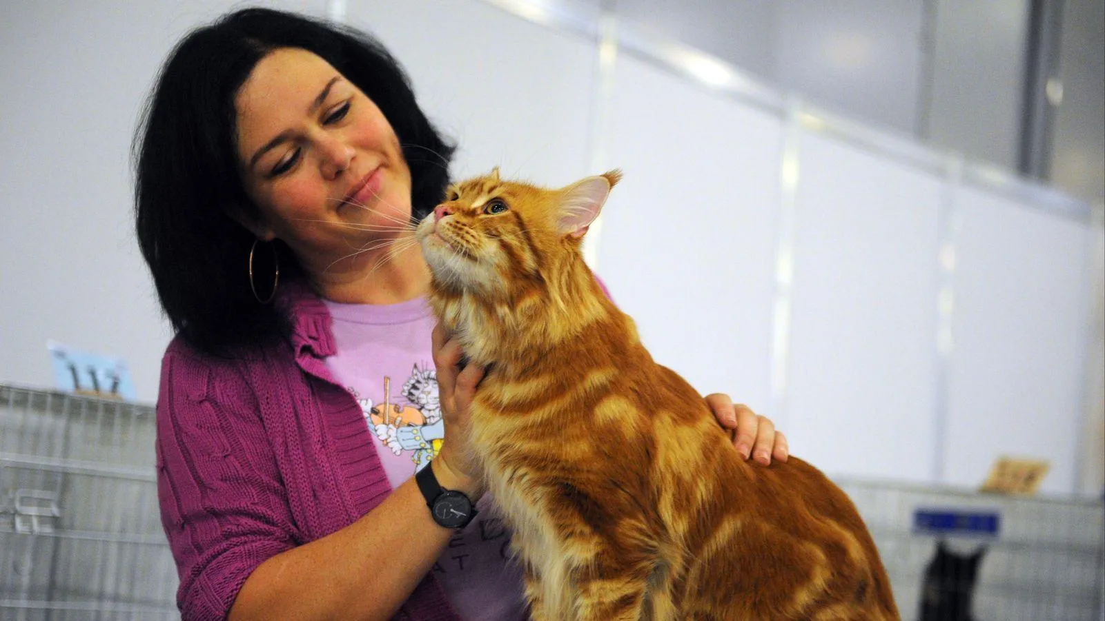 Медиасток.рф