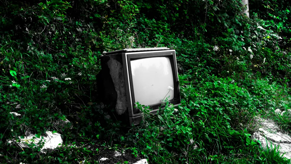 Фото: unsplash.com