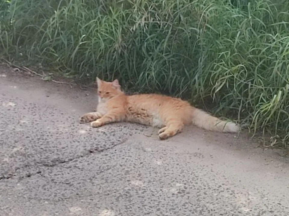 Фото: личный архив Сергея Томиловского