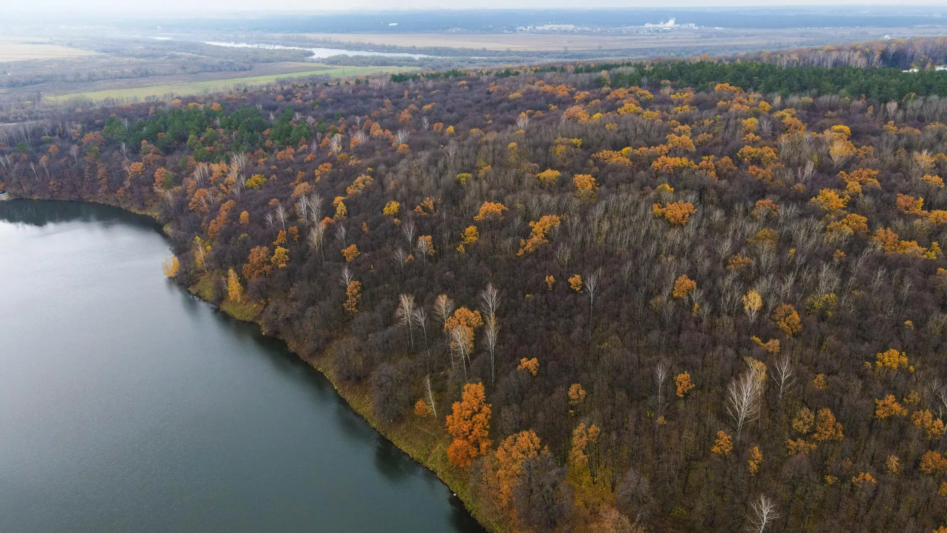 Фото: пресс-служба администрации городского округа Кашира