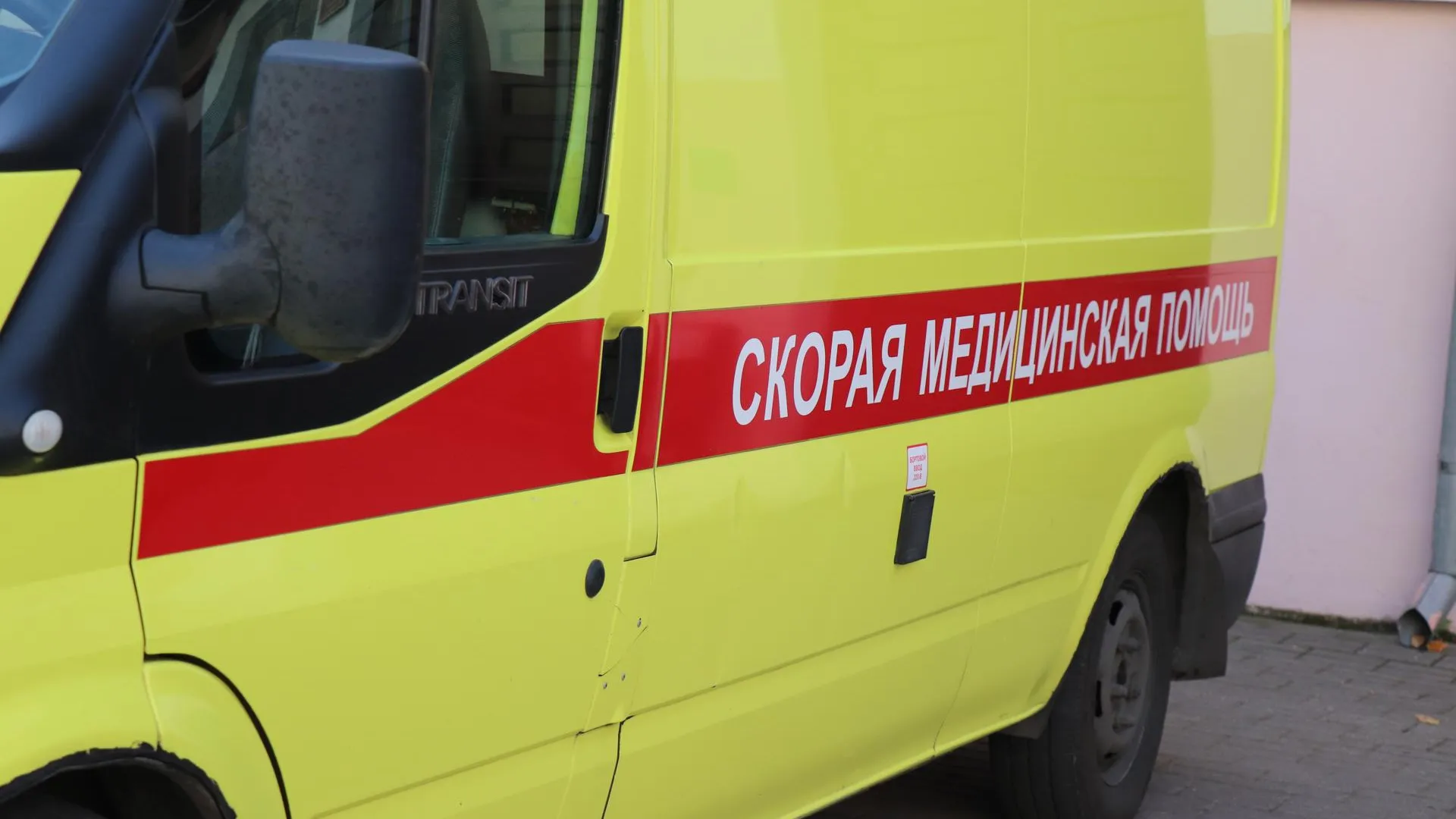 Фото: Василий Тремасов