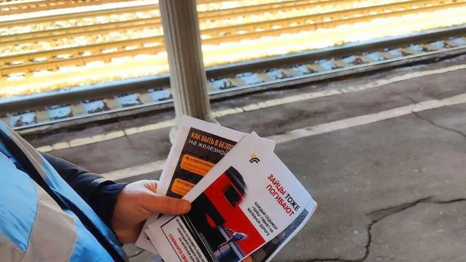 Фото: Министерство транспорта и дорожной инфраструктуры Московской области