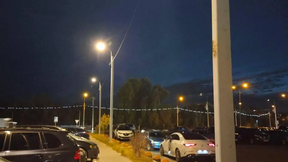 Фото: Министерство благоустройства Московской области