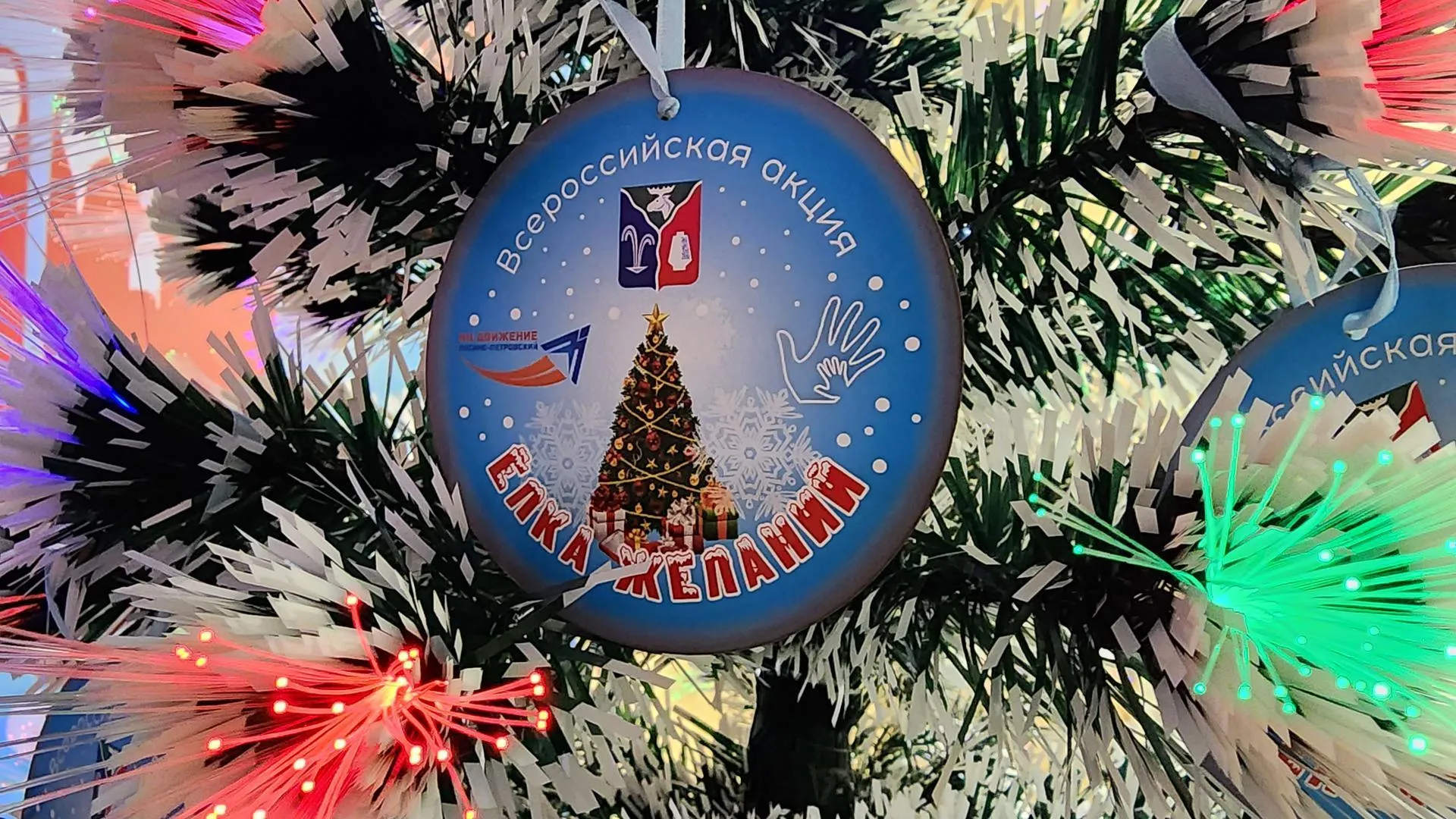 Фото: Валерия Тингаева