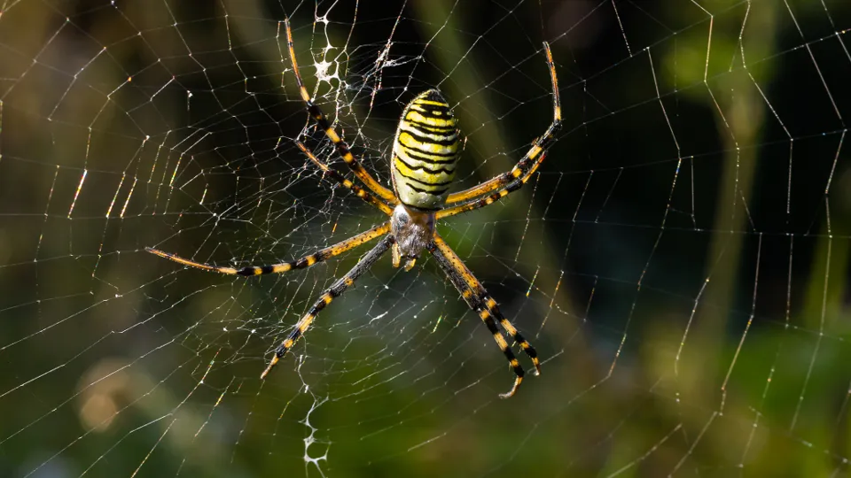 Фото: istockphoto.com