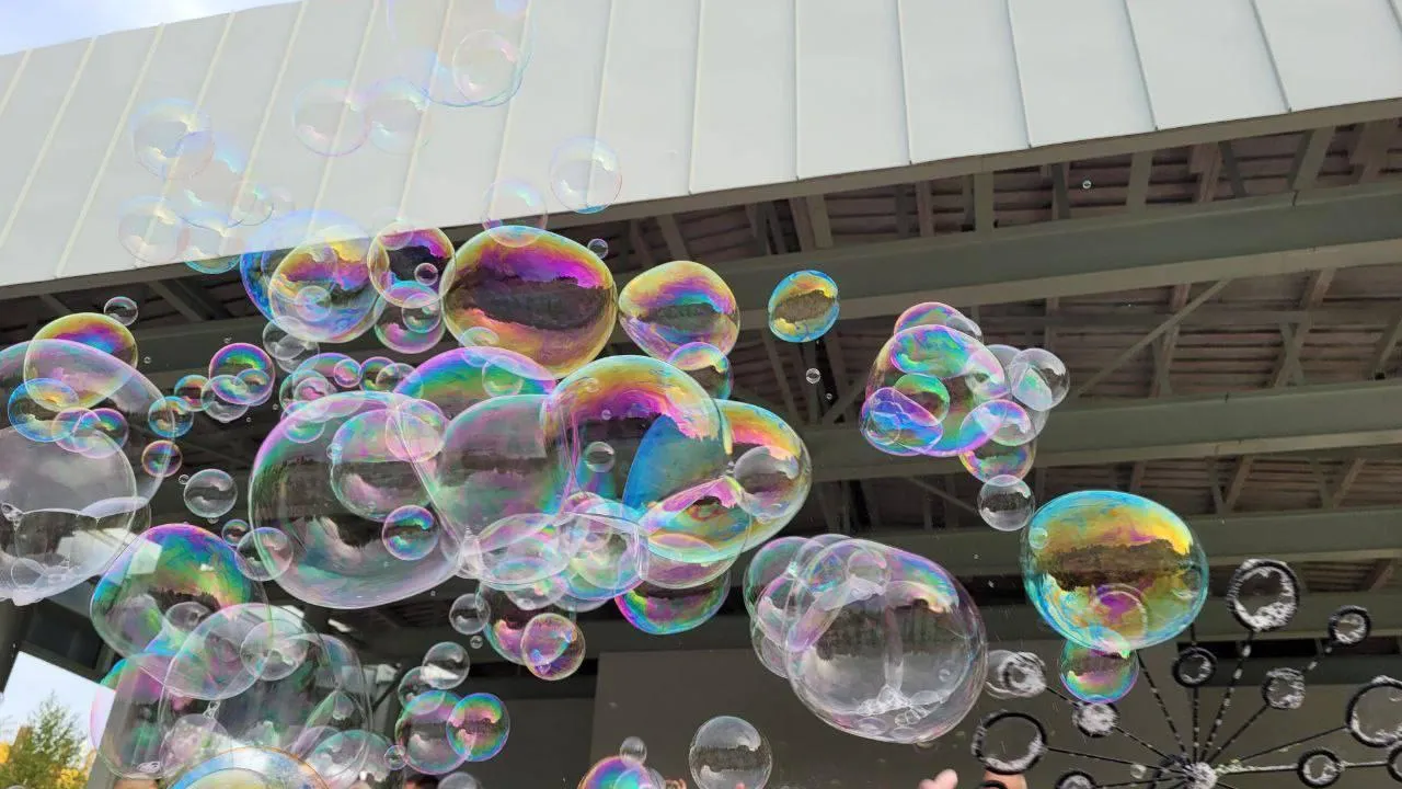 Фото: пресс-служба администрации г.о. Лобня