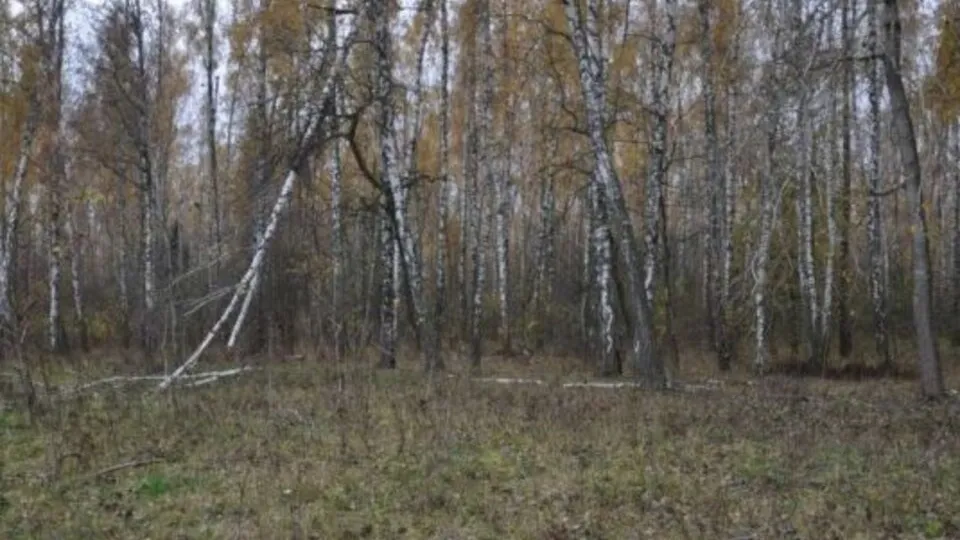 Фото: медиасток.рф