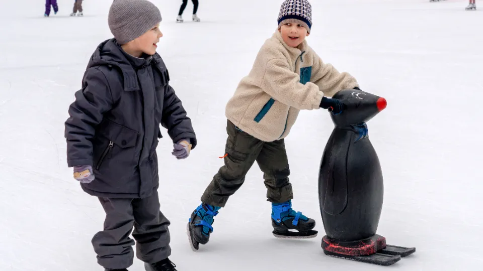 Фото: медиасток.рф