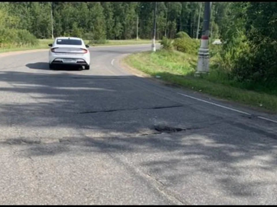 Фото: пресс-служба администрации г.о. Домодедово