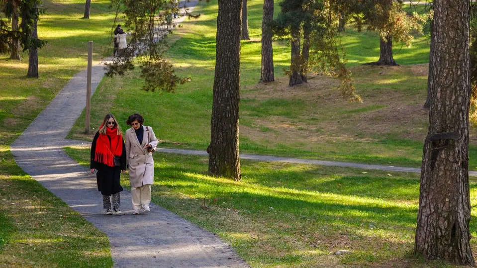 Фото: медиасток.рф