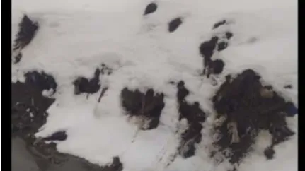 Фото: https://t.me/iotrakovskiy/2736