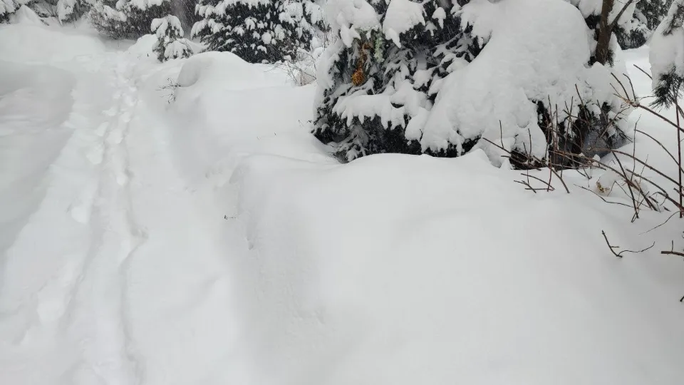 Фото: REGIONS/Людмила Никитина