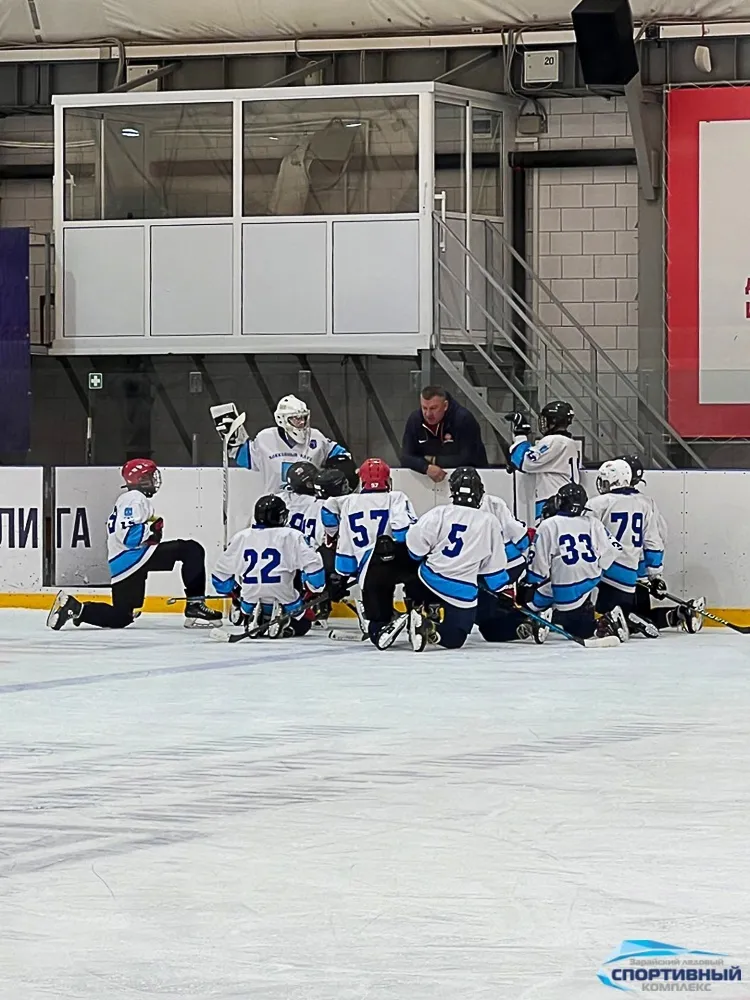 Фото: Зарайский ледовый спортивный комплекс.