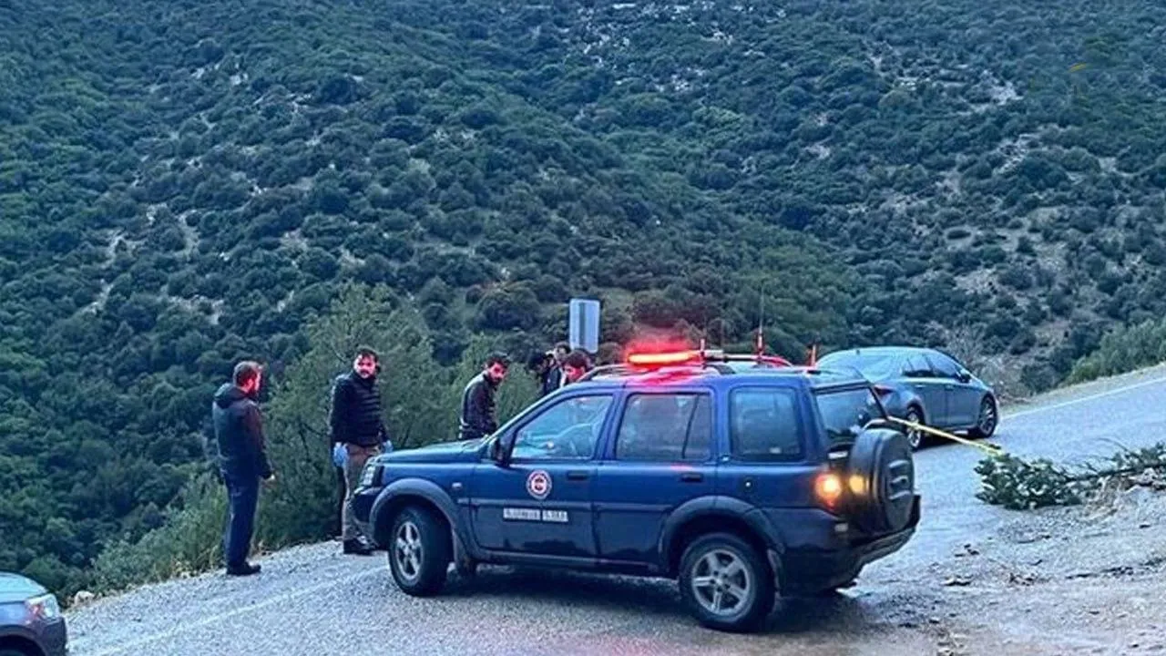 фото: соцсети