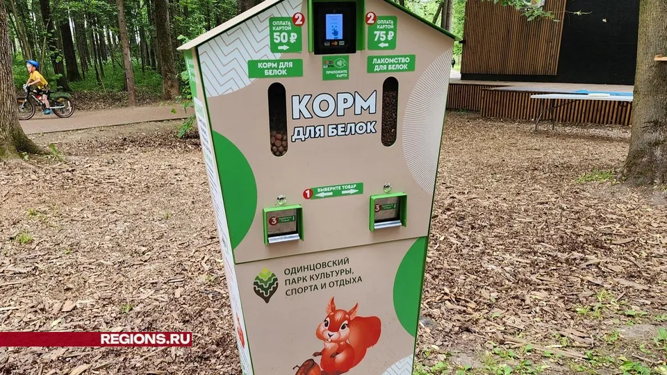 Фото: Никита Сморкалов