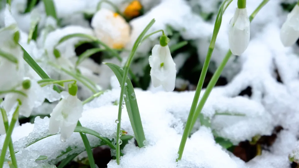 Фото: freepik.com