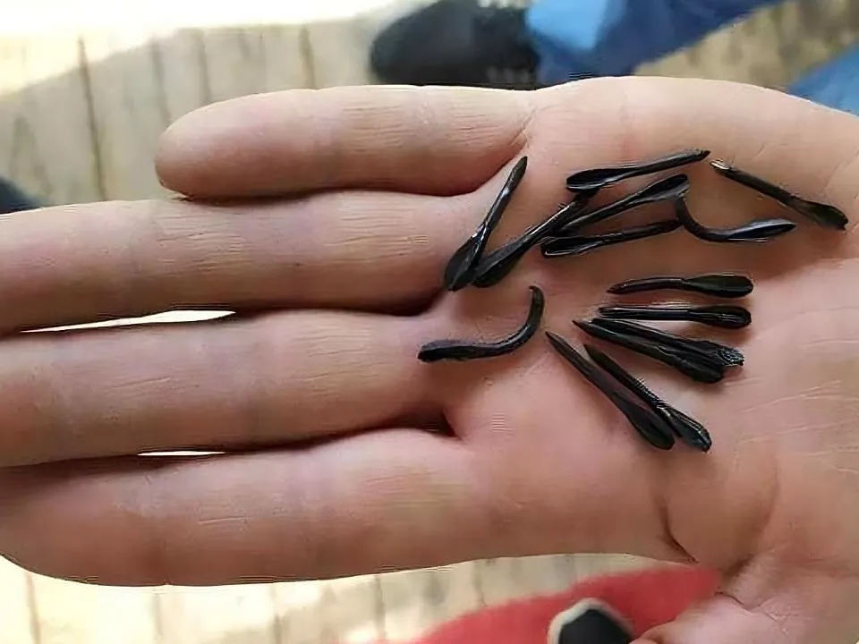 «Сотни стрел летят с воздуха»: боец СВО рассказал о страшном оружии украинцев