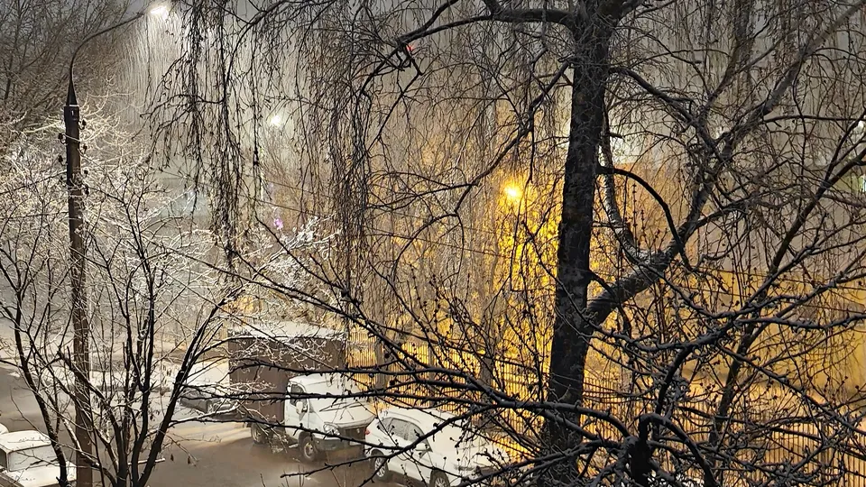 Фото: REGIONS/Алексей Селиверстов