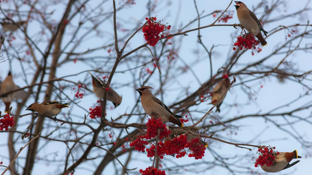 istockphoto.com/Argument