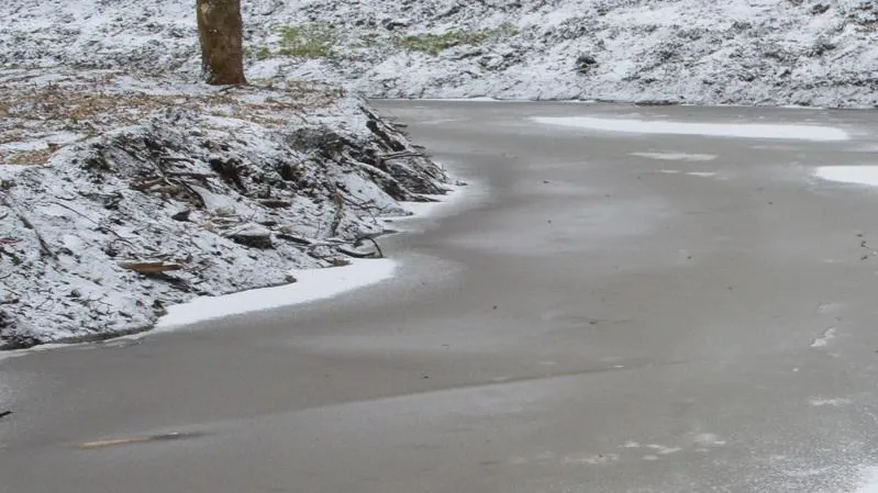 Фото: Министерство экологии и природопользования МО