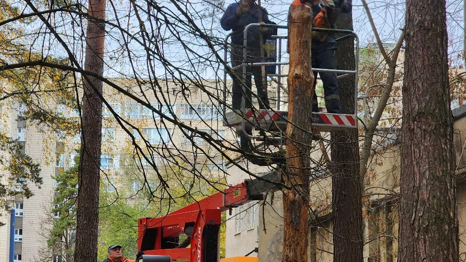 Фото: МедиаБанк Подмосковья/Анна Мороз