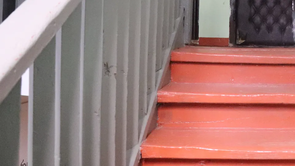 Фото: REGIONS/Василий Тремасов