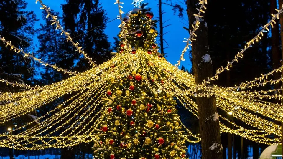 Фото: Министерство благоустройства Московской области