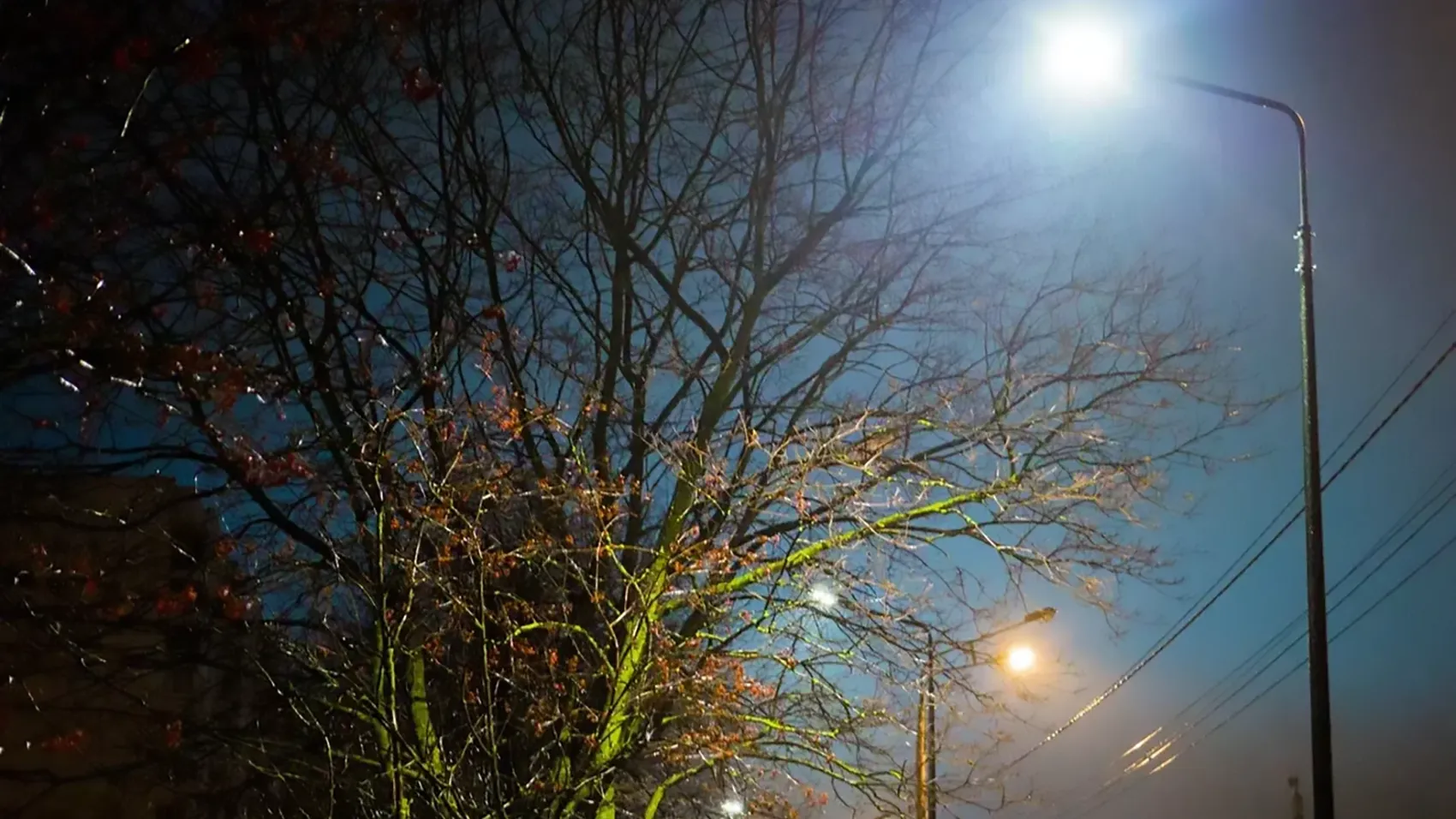 Фото: Министерство благоустройства Московской области