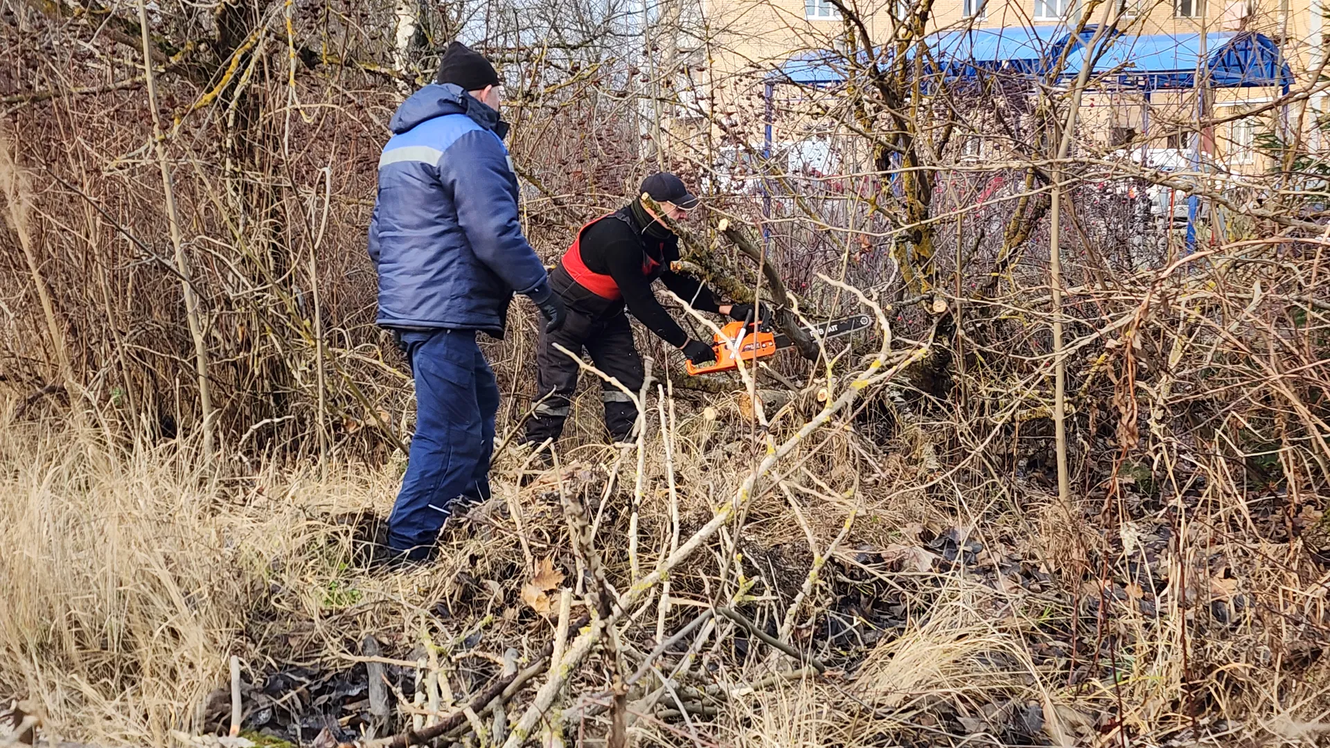 Фото: REGIONS/Наталья Дорошева