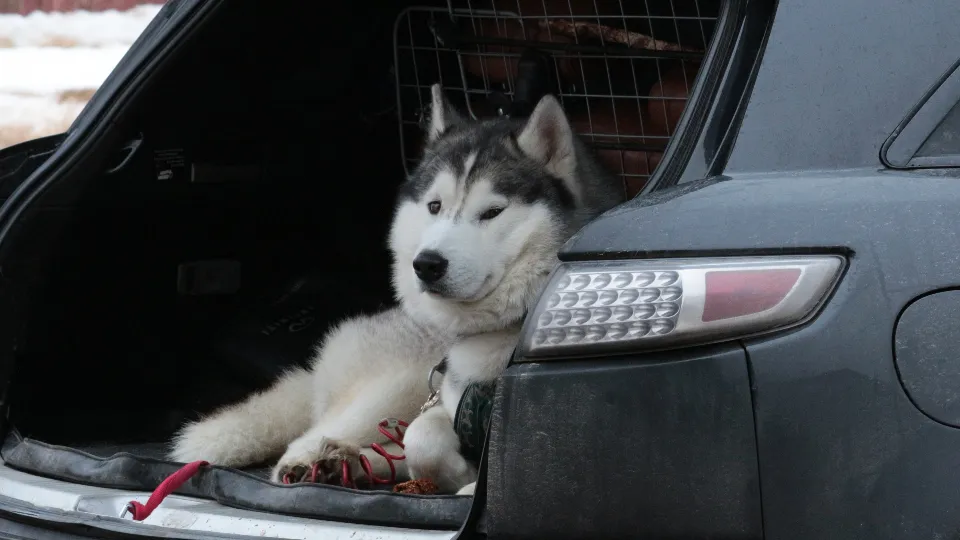 Фото: медиасток.рф