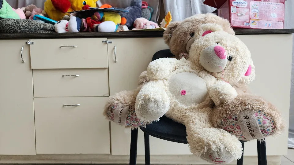 Фото: МедиаБанк Подмосковья/Ксения Пашуто