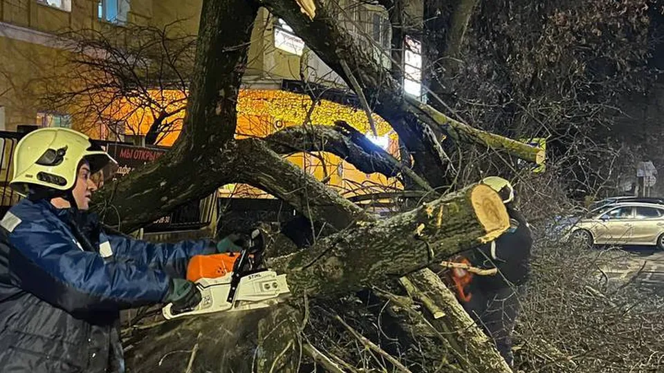 Фото: ПСО МУ «ЖАСО»