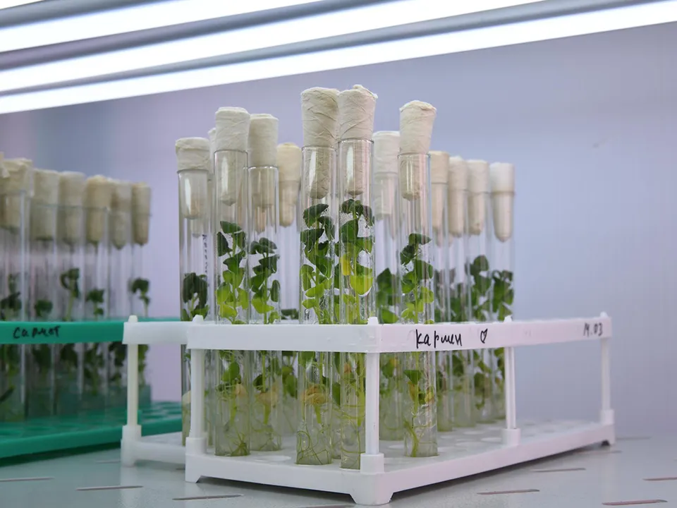 Фото: Министерство сельского хозяйства и продовольствия Московской области