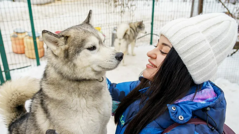 Фото: медиасток.рф