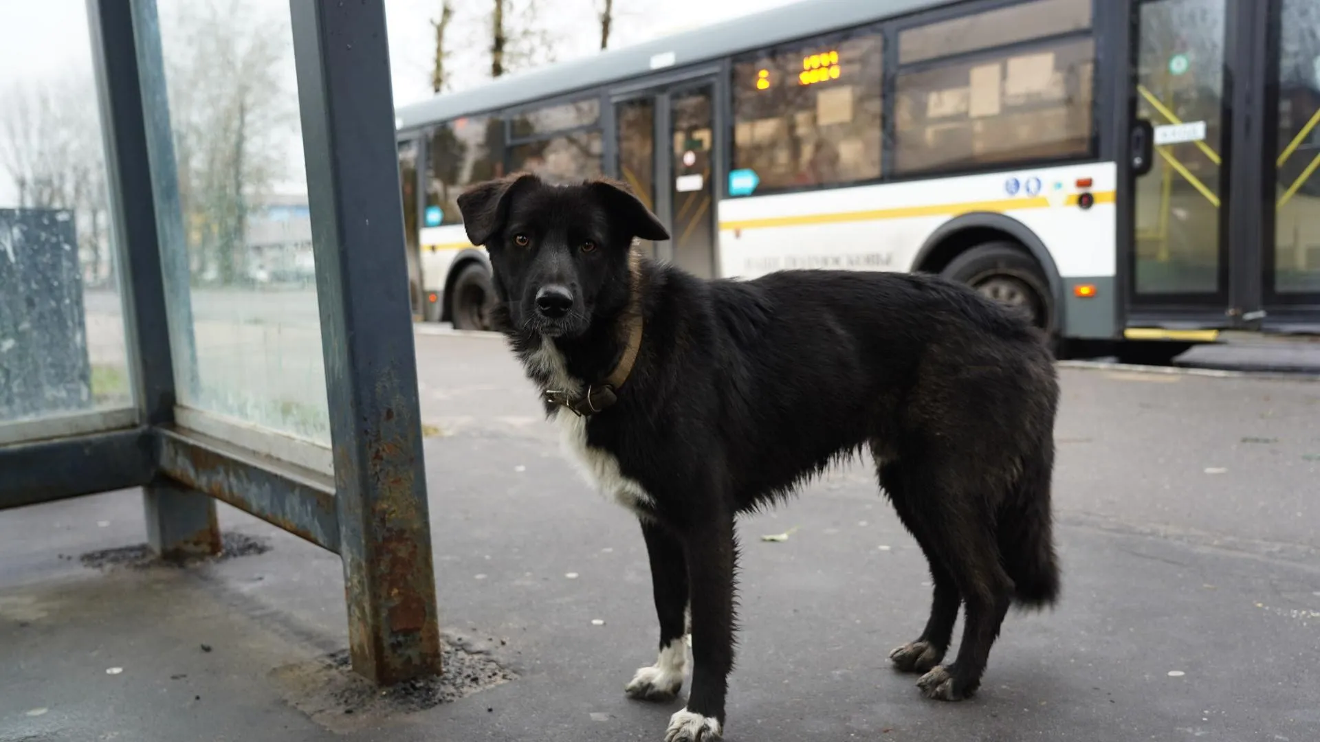 Фото: Руслан Полянин