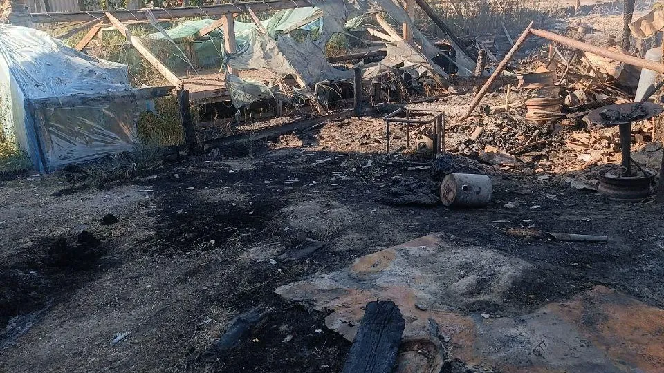 Губернатор Херсонской области Владимир Сальдо