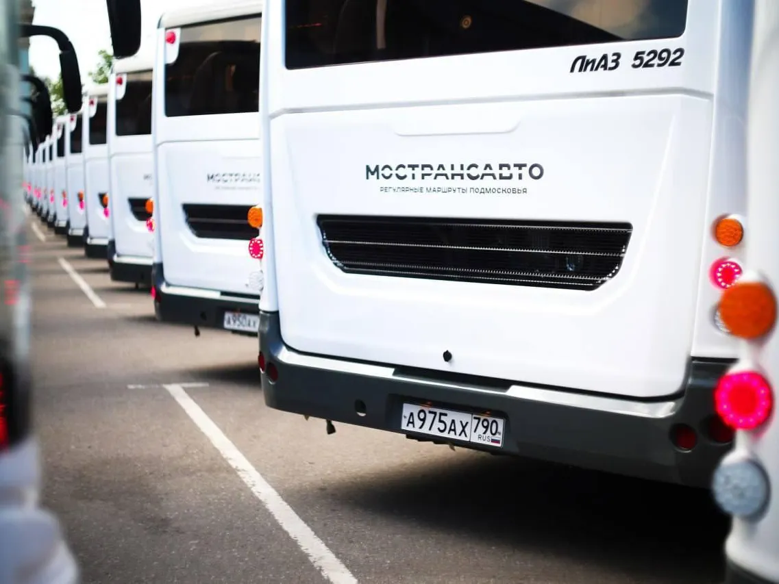 Фото: МТДИ Московской области