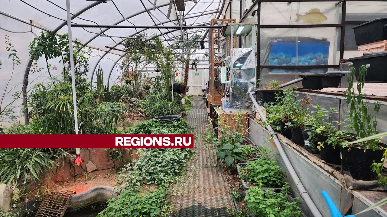 Фото: Мария Андрюхина