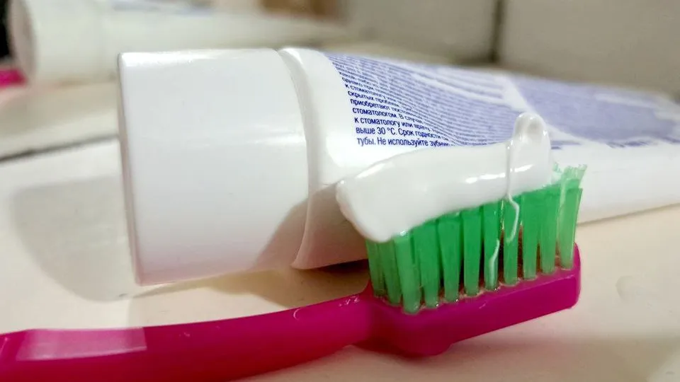 Фото: REGIONS/Татьяна Замятина