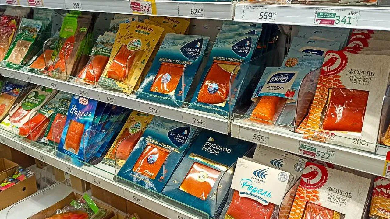 REGIONS/Эльвира Сафина