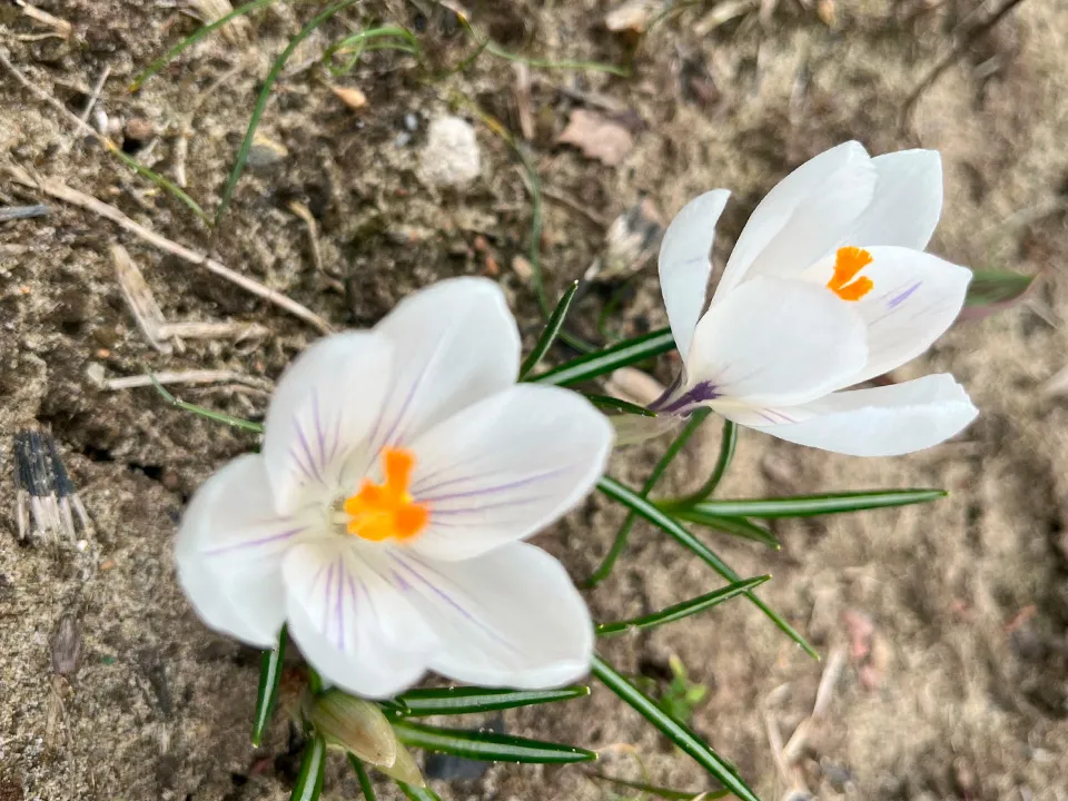 Фото: предоставлено жительницей Воскресенска Натальей