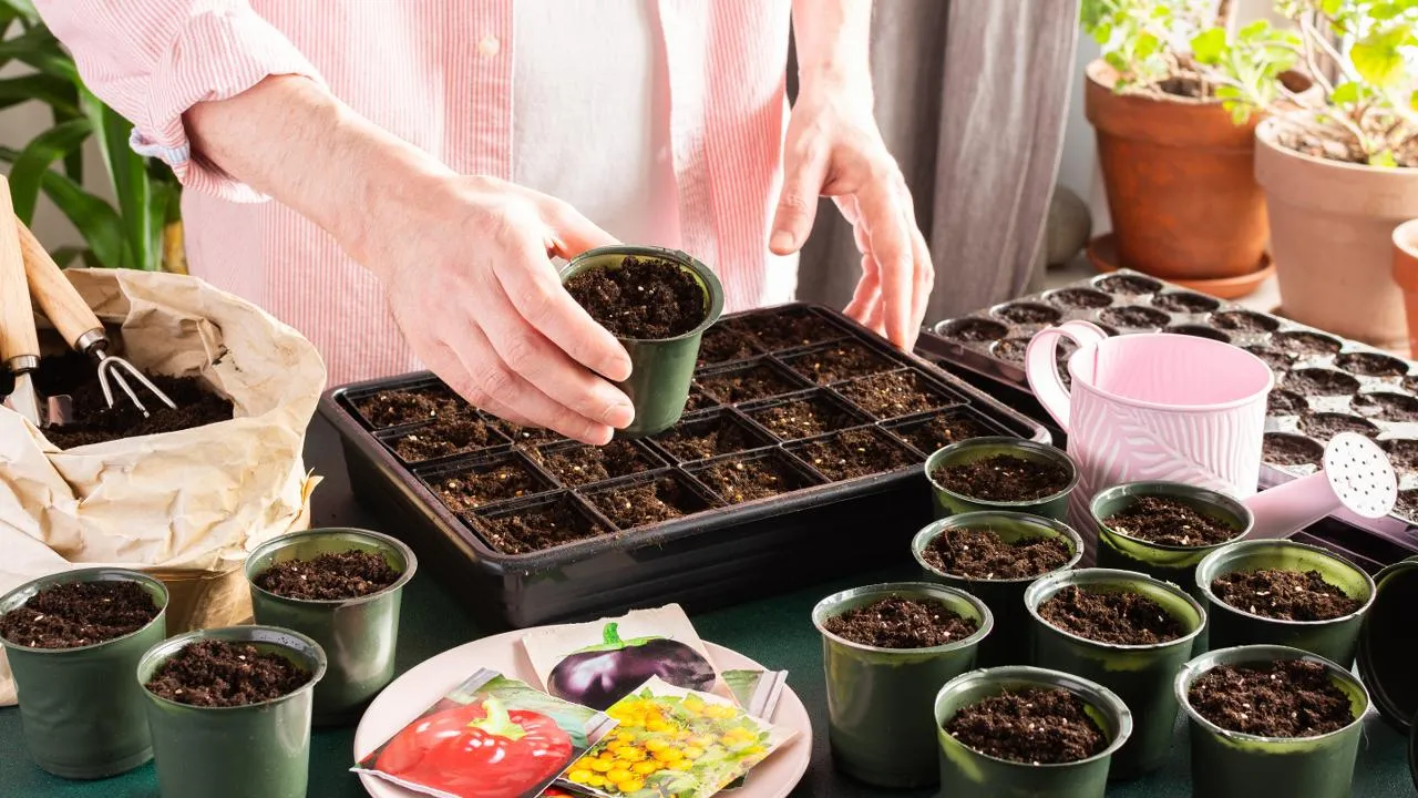 istockphoto.com/pundapanda